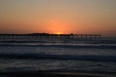 DSC_7113 (Large).JPG